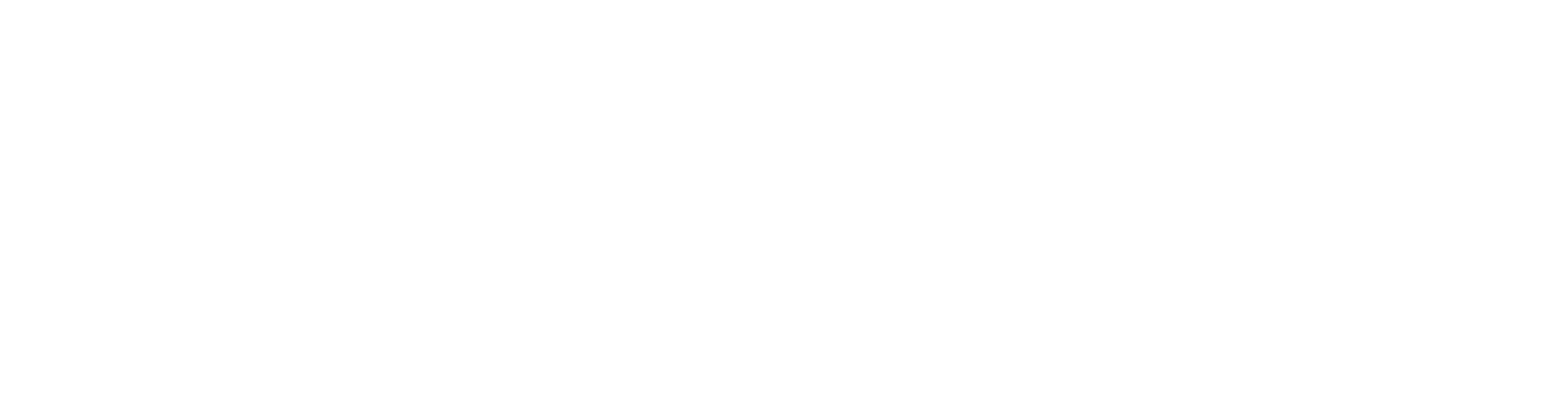 ThinkZone Ventures Logo